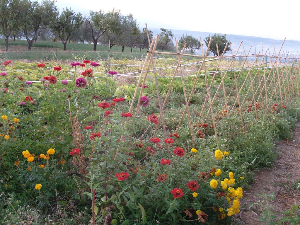 Agriturismo Papageno Rignano sullʼArno Exteriér fotografie