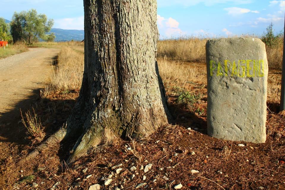Agriturismo Papageno Rignano sullʼArno Exteriér fotografie